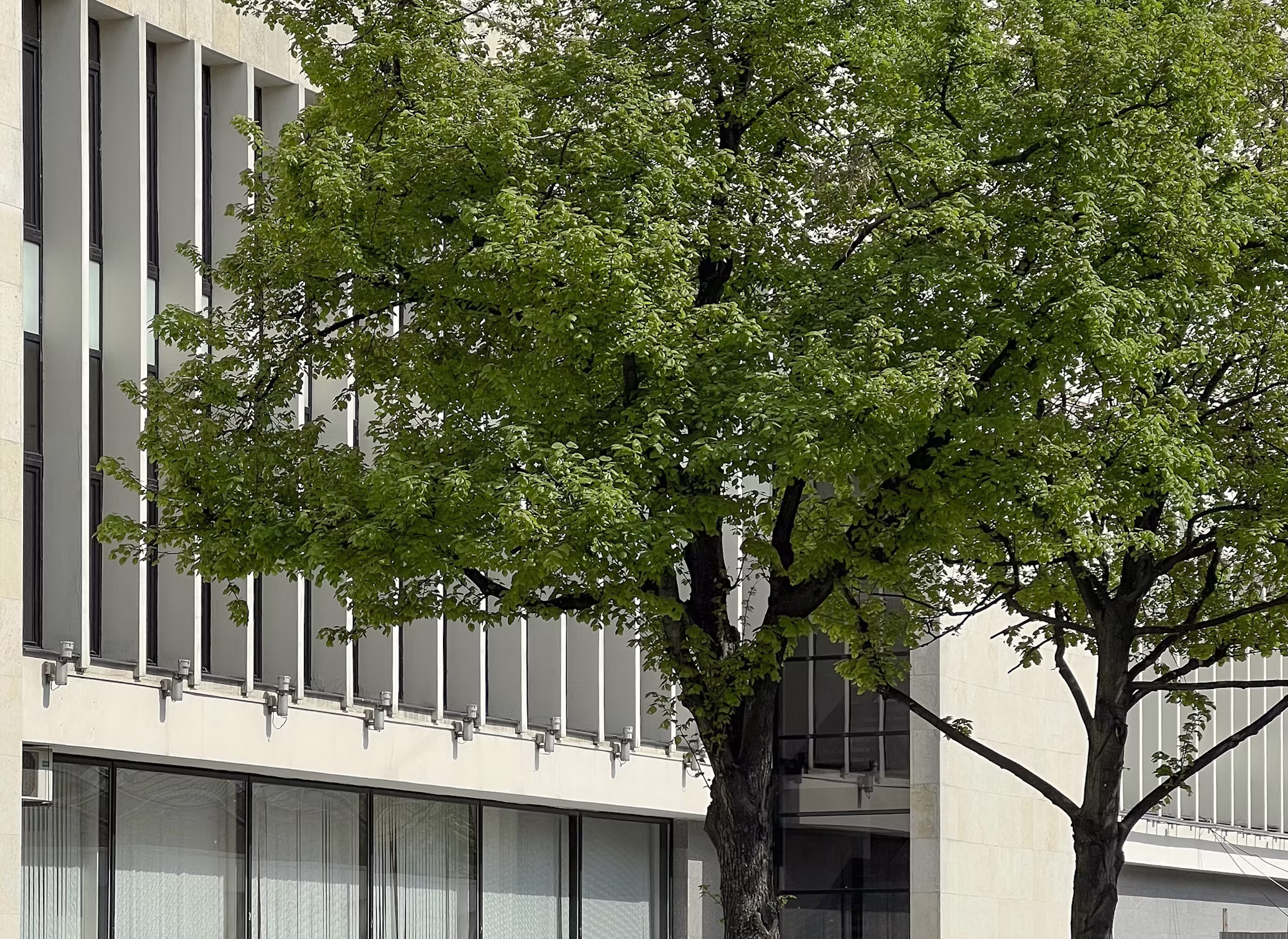 Exploring the World of Academic Libraries: Pillars of Knowledge and Research